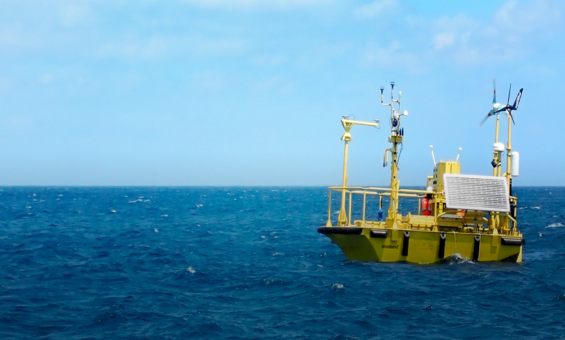 海象モニタリング